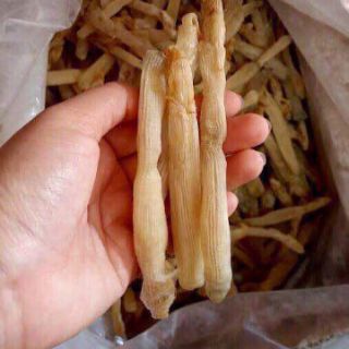 Sá sùng khô Cô Tô - Vân Đồn