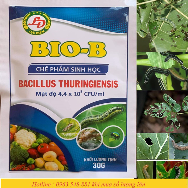 Chế phẩm vi sinh phòng trừ sâu, nhện đỏ, bọ trĩ, sùng đất sinh học BIO-B 30gr