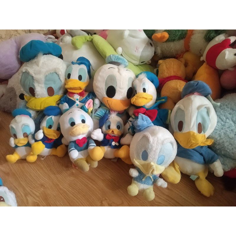 Sét vịt donal khách lựa