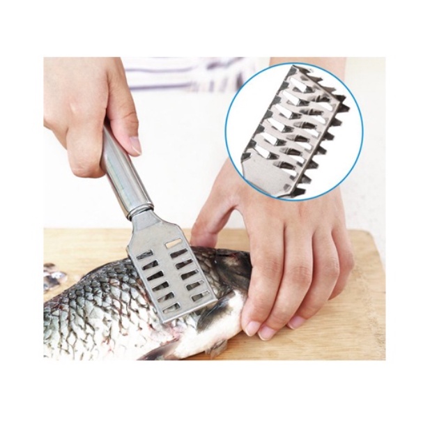 Dụng Cụ Đánh Vảy Cá, Cạo Vảy Cá  Bằng Thép Không Gỉ DUASHOP.