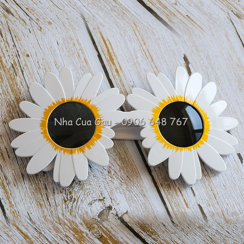 Mắt kính cute lạc lối luôn