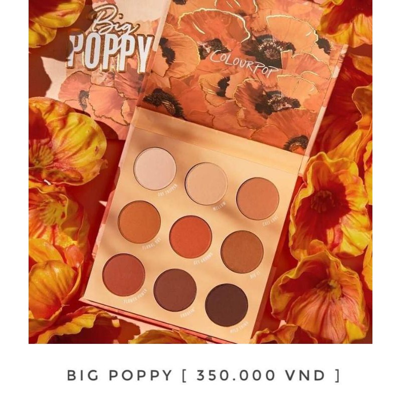 Bảng màu mắt Colourpop - Phấn Mắt 9 ô Colorpop Eyeshadow Palette