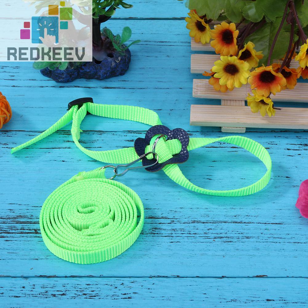 Dây Xích Huấn Luyện Vẹt Có Thể Điều Chỉnh Chống Bay