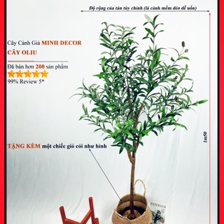 [Hàng Loại 1] [Freeship Tối Đa 70k] Cây Oliu Giả Tán Đẹp Trang Trí Nhà Cửa ,Trang trí Không Gian