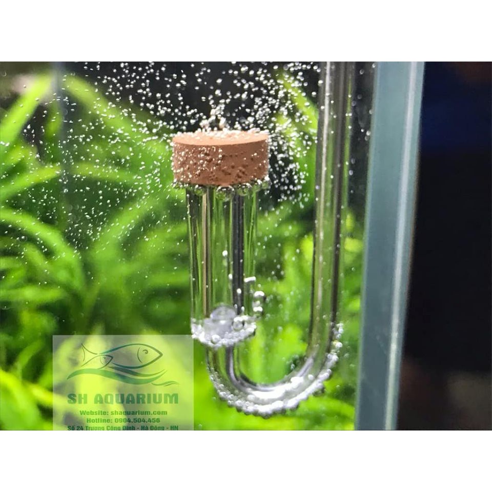 Sủi Co2 Neo Loại Ngắn Shopee Việt Nam