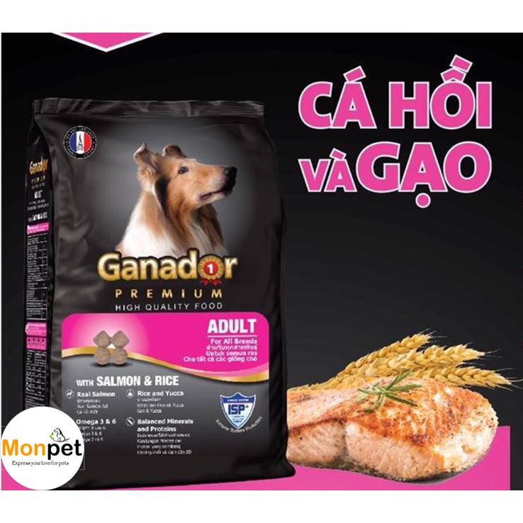 Thức Ăn Hạt Khô Ganador Adult Cá Hồi và Gạo Cho Chó Trưởng Thành 400g