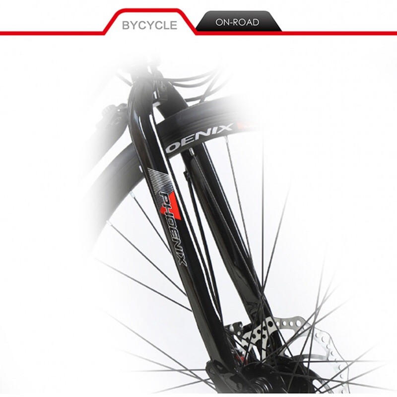 XE ĐẠP ĐỊA HÌNH THỂ THAO PHONIX PHONG CÁCH ĐƯỜNG PHỐ