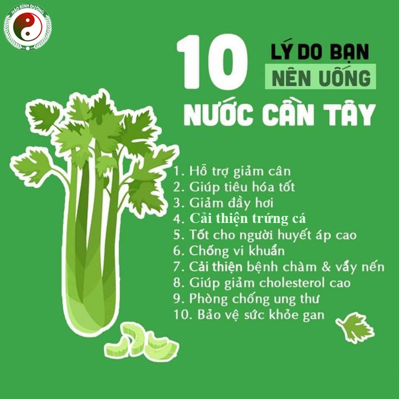 Bột Cần Tây Nguyên Chất Sấy Lạnh Giảm Cân Hiệu Quả - Làm Đẹp Da - Thanh Nhiệt - Giải Độc