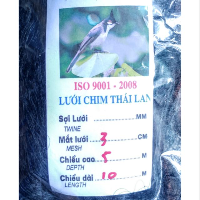 Lưới bẫy chim chào mào, mi, khướu