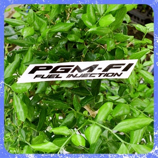 Tem fi giả zin trong suốt phục hồi xe máy,.Sticker hoạt hình,decal xe máy cao cấp không phai màu,nhãn dán mini FREESHIP