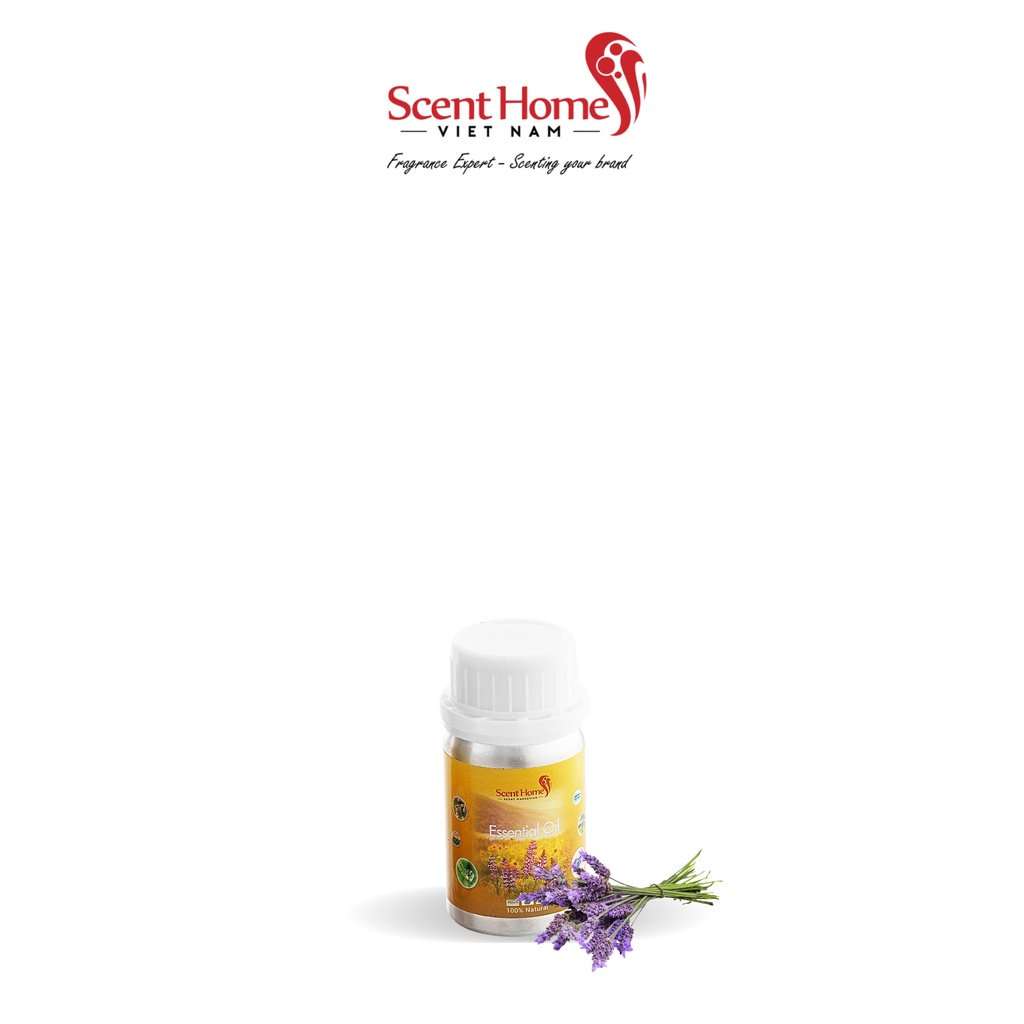 [Chính hãng] Tinh dầu Lavender UK- Scent Homes (Levender UK - 50ml,100ml,250ml)