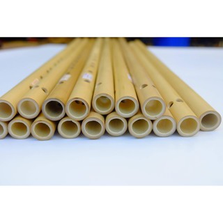 Sáo trúc Mão Mèo giá rẻ mới chơi