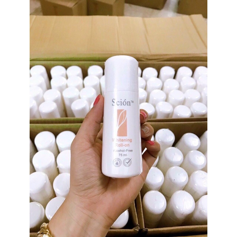 LĂN NÁCH SCION ( Giá sỉ ) | BigBuy360 - bigbuy360.vn