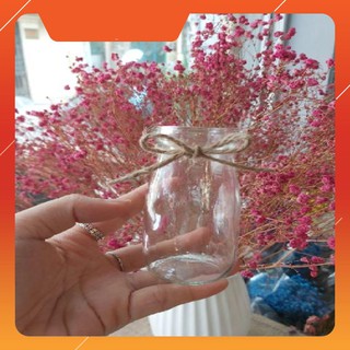 Lọ thủy tinh mini cắm hoa khô