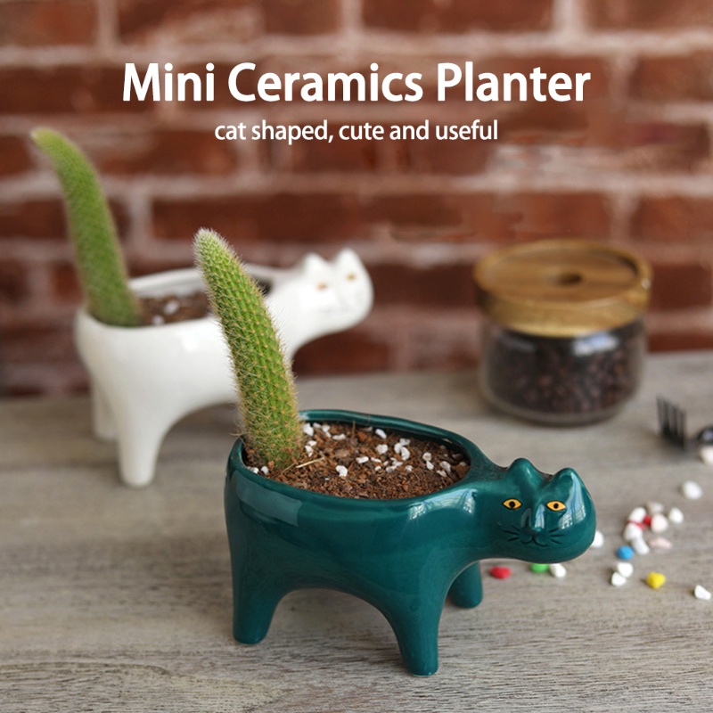Chậu trồng cây bằng gốm hình mèo hoạt hình có lỗ thoát nước