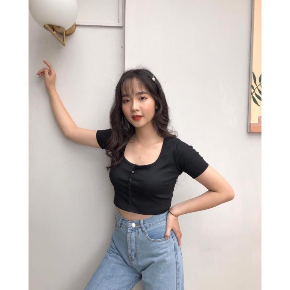 ÁO CROPTOP LEN TĂM CÚC DỌC 6 MÀU LOẠI MỚI - CROPTOP CÚC NGỰC TÍM XANH MINT HOT - mẫu mới