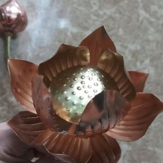Hoa sen thờ đồng bó 15 bông