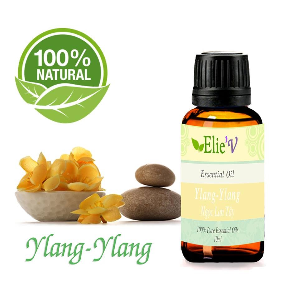 Tinh dầu ngọc lan tây (ylang ylang) Elie'v 10ml