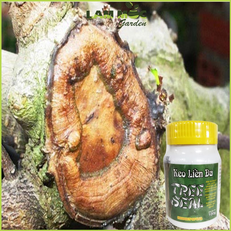 Keo Liền Da Cây Tree Seal – Keo Liền Sẹo Mỹ Chai 100g