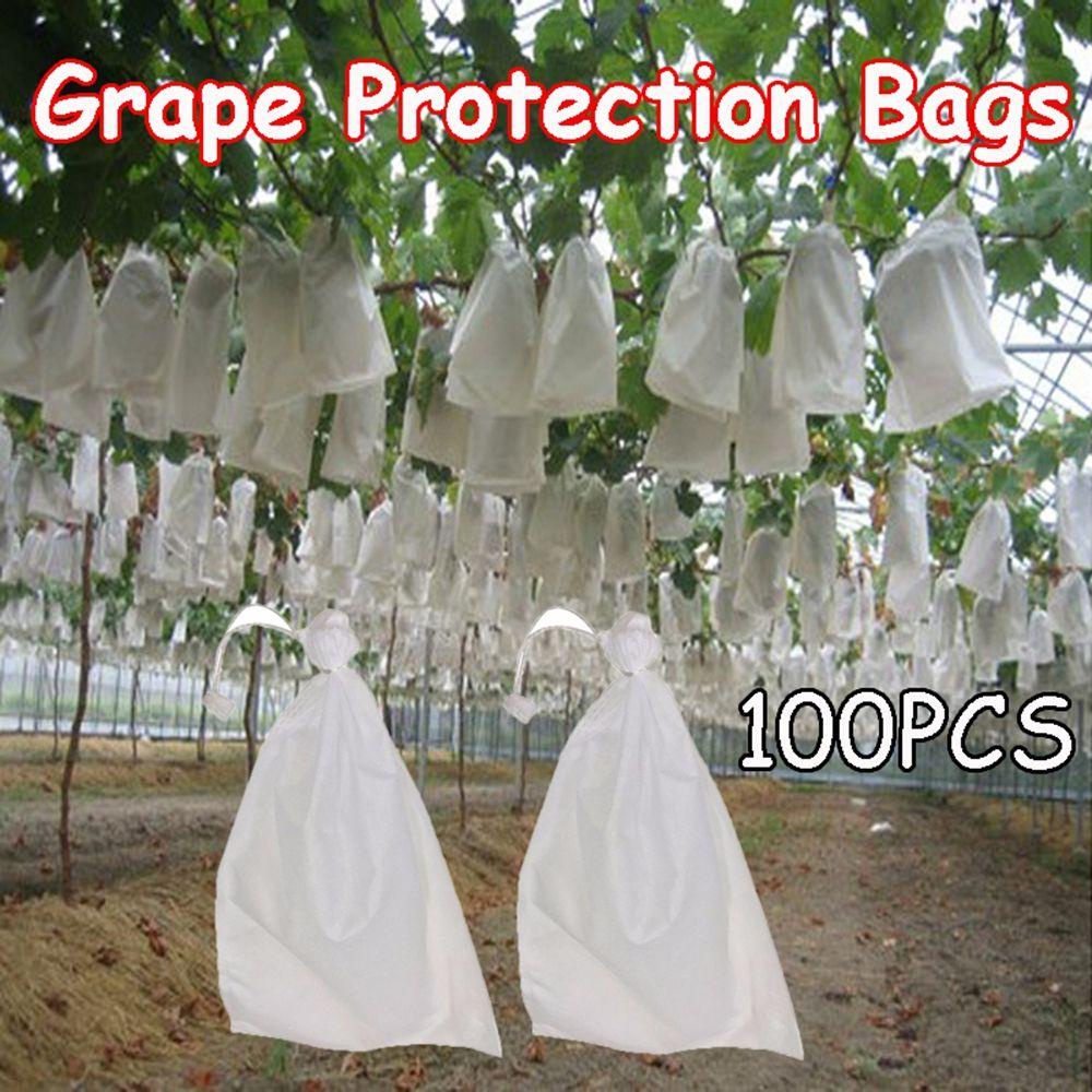Bộ 100 Túi Đựng Nho Chống Côn Trùng Chống Thấm Nước Bảo Vệ An Toàn Cho Nông Nghiệp
