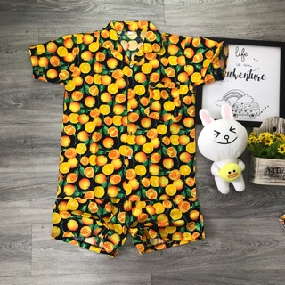 Đồ bộ trái cây
