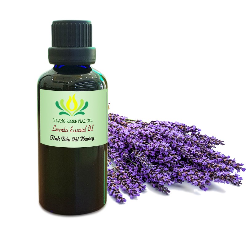 Tinh dầu Oải hương (Lavender) - 50ml