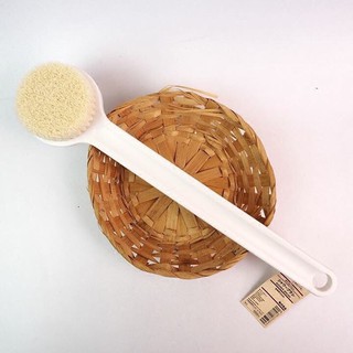 BÀN CHẢI CỌ LƯNG MUJI