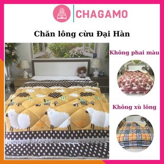 Chăn lông cừu đại hàn cực ấm cực phổng cao cấp chăn lông cừu đại hàn căng phổng kích thước 1m9x2m1 nặng 2,5kg