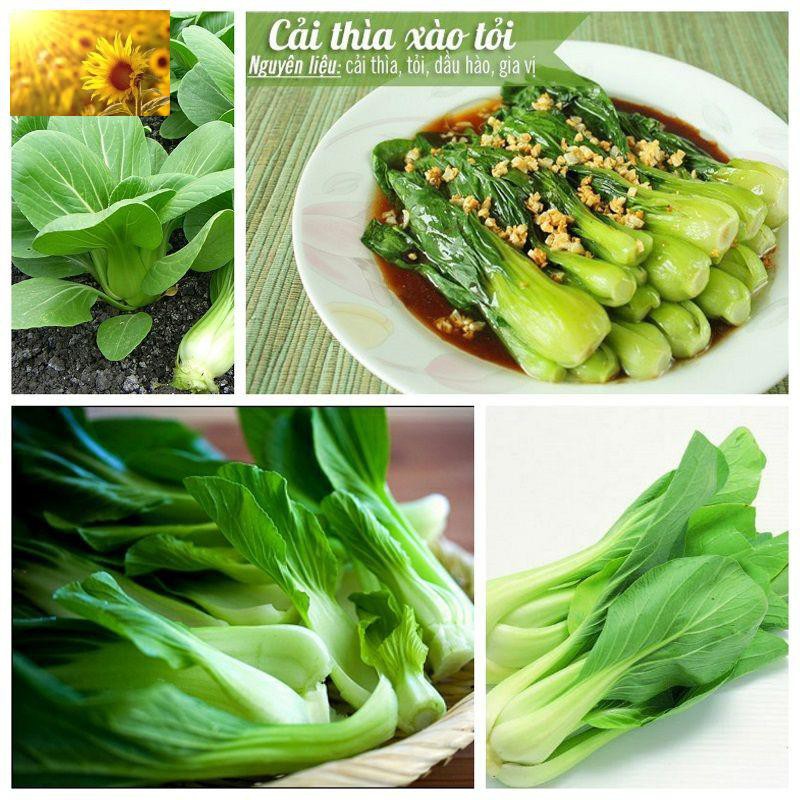 Hạt Giống Rau Cải Thìa/ Cải Chip (300 Hạt) - Giòn, Ngọt, Bổ Dưỡng - MUA 3 TẶNG 1 CÙNG LOẠI