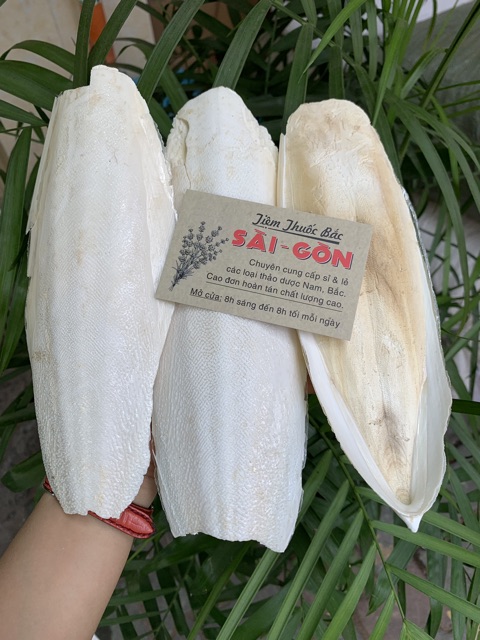 Mai Mực - Nang Mực 500GRAM