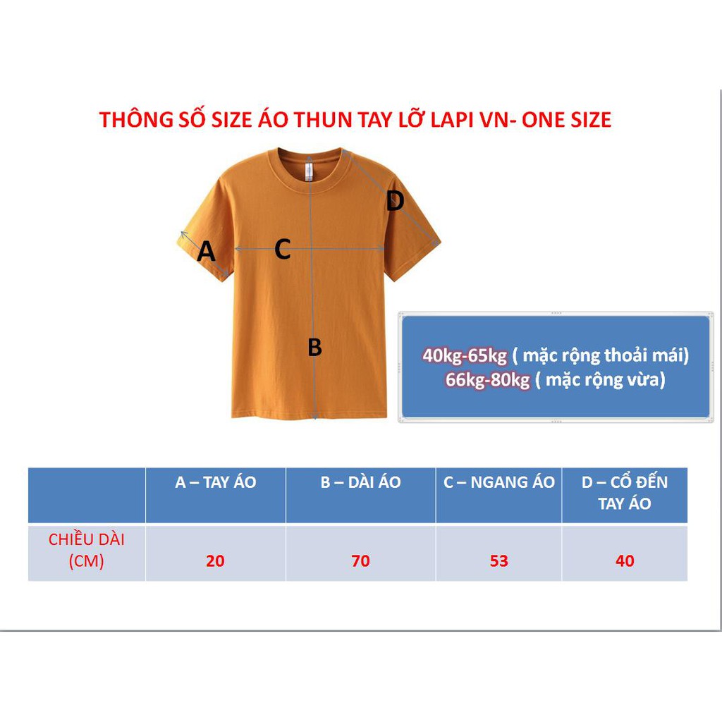 Áo Thun Unisex Lapi VN Hình Khủng Long Cực Kute ATU004