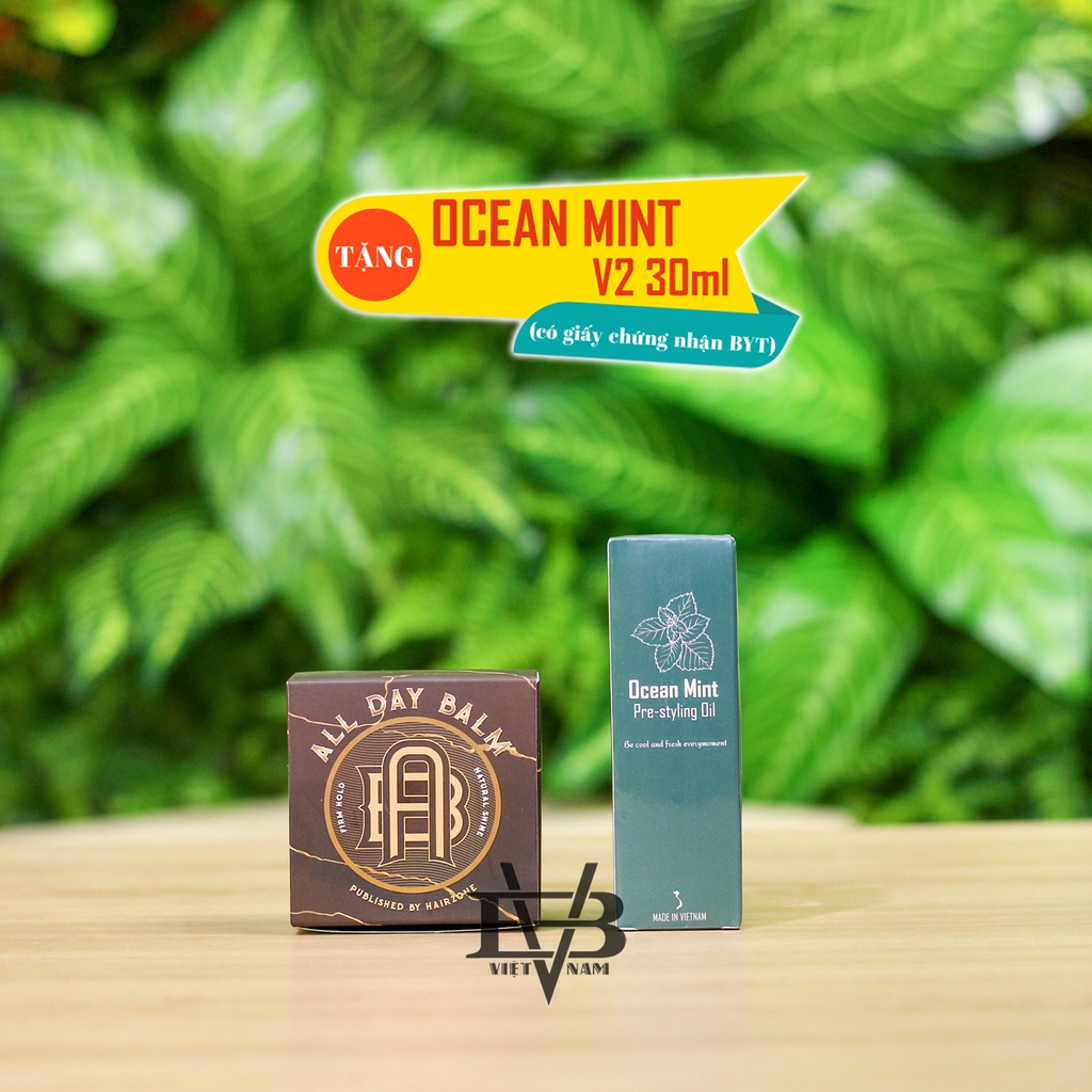 Sáp vuốt tóc ALL DAY BALM Hairzone - AE với Original Clay 2020 + Tặng Pre Styling Ocean Mint 30ml V2