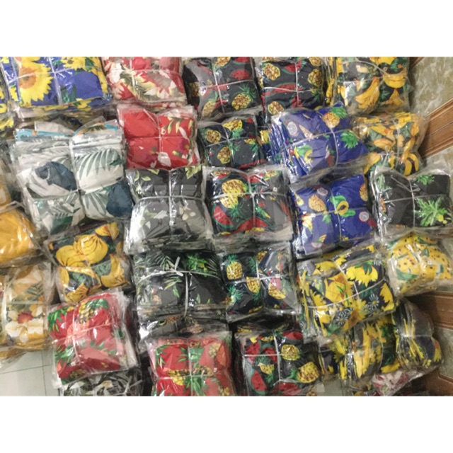 Combo 29 bộ trái cây