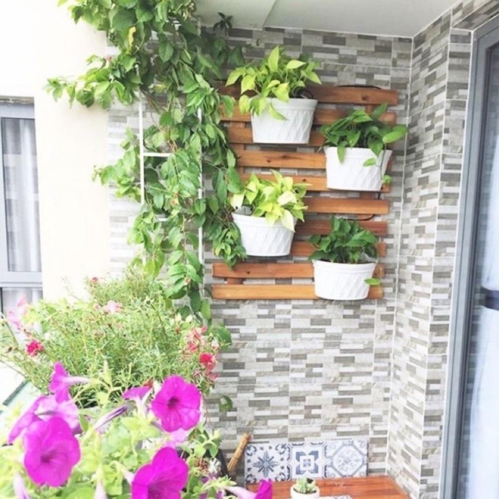 Chậu nhựa trồng cây ốp treo tường thông minh hình bán nguyệt-loại dày,đẹp