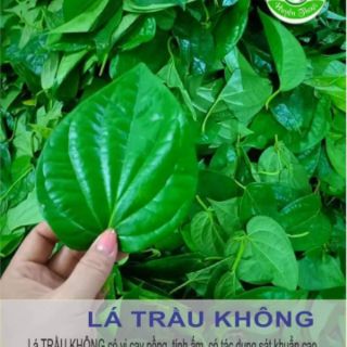 Nước Tắm Thảo Dược