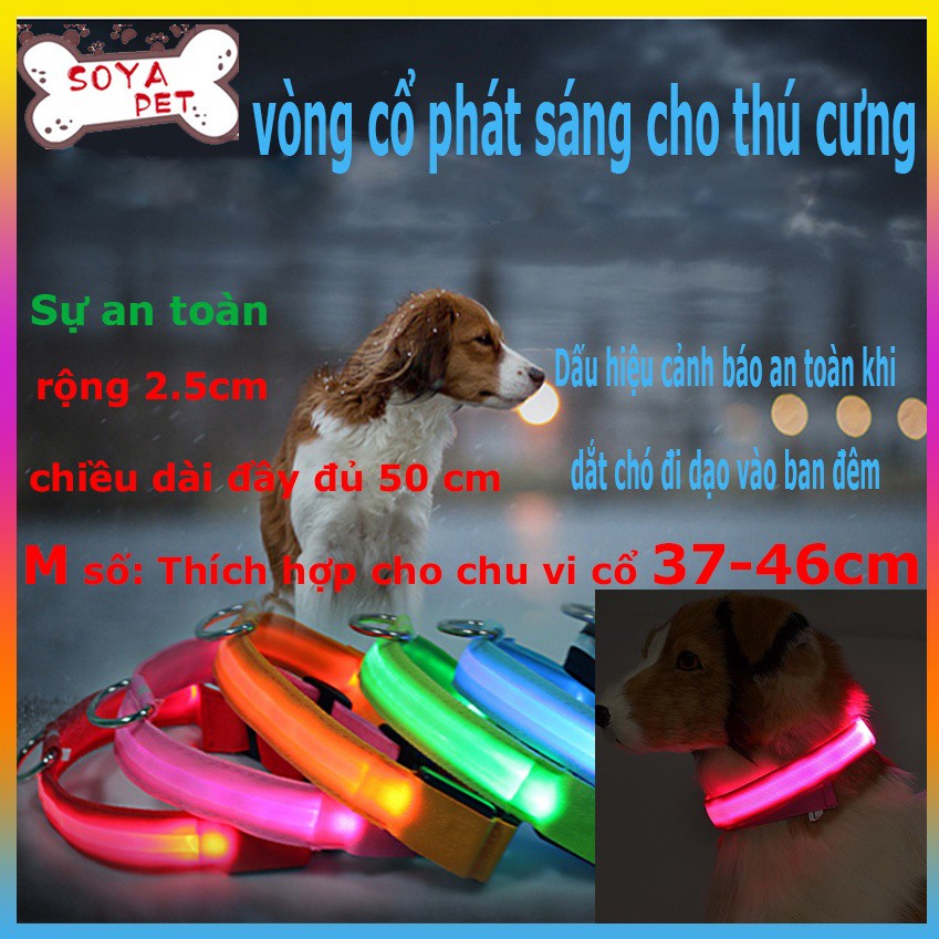 Vòng Cổ Phát Sáng Cho Thú Cưng chó mèo có đèn LED