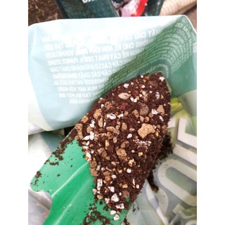 500gr đất trồng sen đá xương rồng soil mix