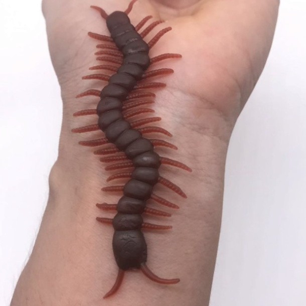 1 CON RẾT ĐỎ NÂU TO DÀI dùng để troll chơi khăm,trang trí halloween