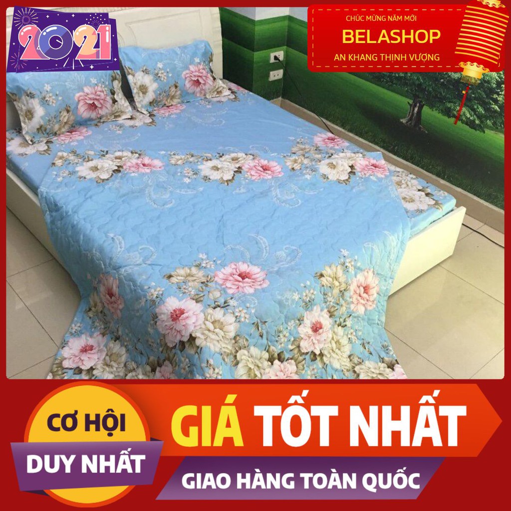 CHĂN HÈ MẪU HOA HỒNG NỀN XANH