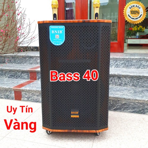 LOA KÉO DI ĐỘNG KARAOKE BNIB 1506A BASS 40 THIẾT KẾ SIÊU ĐỈNH, 2 MÀU LỰA CHỌN, KẾT NỐI MỌI THỨ