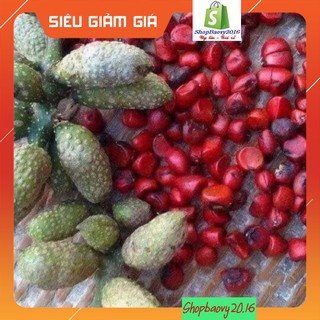 5 Hạt dổi nếp rừng (dùng thử)