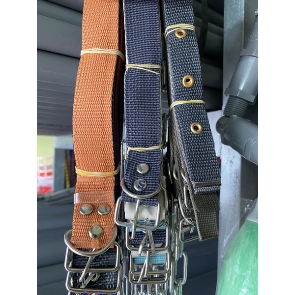 vòng cổ chó đủ size