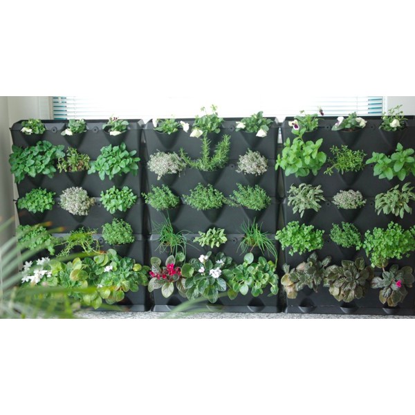 Bột TC-MOBI dinh dưỡng thủy canh thích hợp cho Rau ăn lá và Cây ăn quả