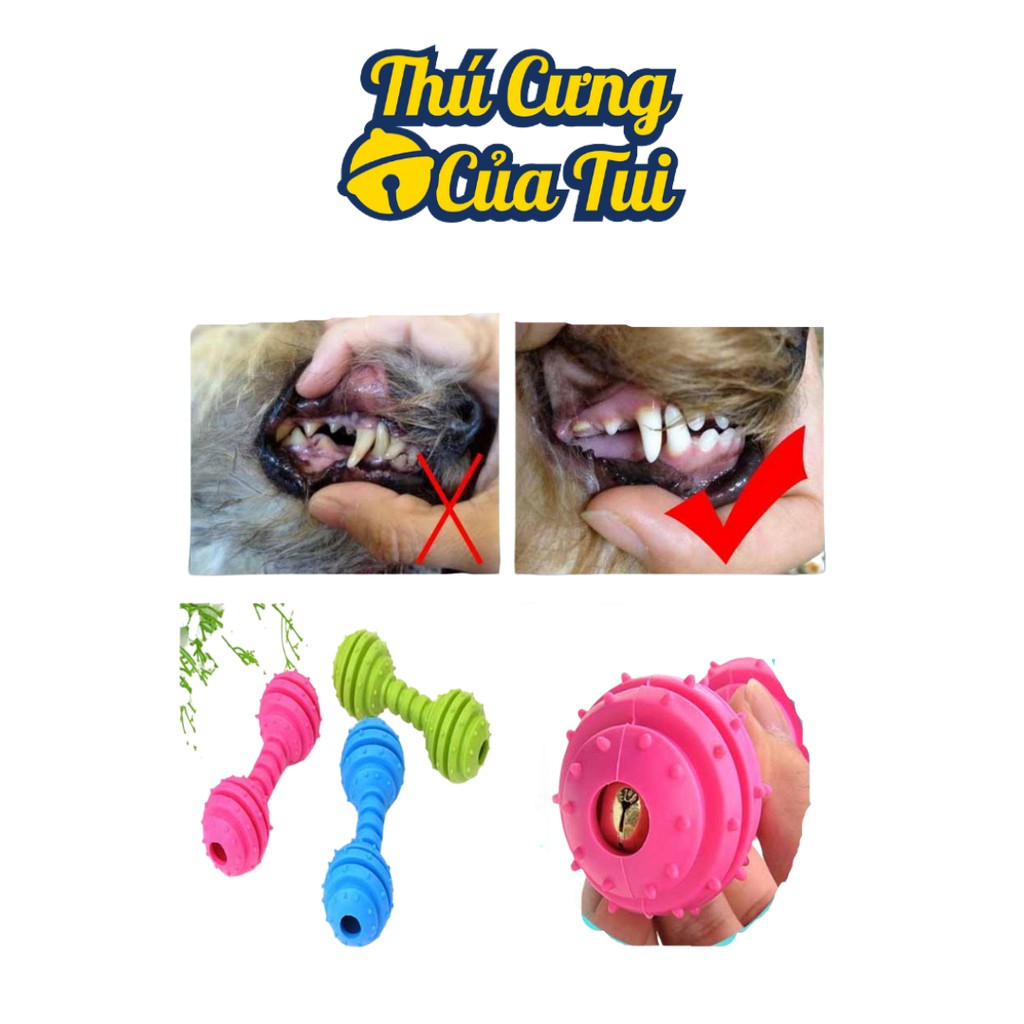Quả Tạ Gai Có Lục Lạc Cho Thú Cưng Chó Mèo - Thú Cưng Của Tui