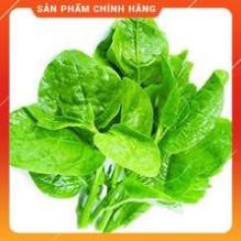 HẠT GIỐNG MÙNG TƠI CAO SẢN GÓI 20 GRAM