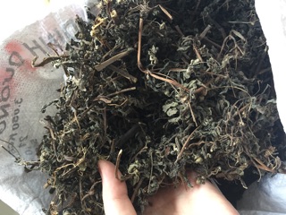 1kg Trà Cỏ Nhọ Nồi m