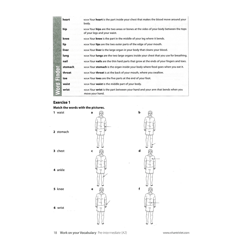 Sách Collins Work On Your Vocabulary A2 - Pre-Intermediate