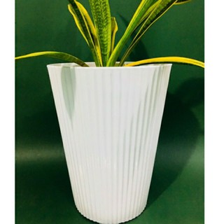 chậu nhựa trồng cây  kẻ sọc trắng