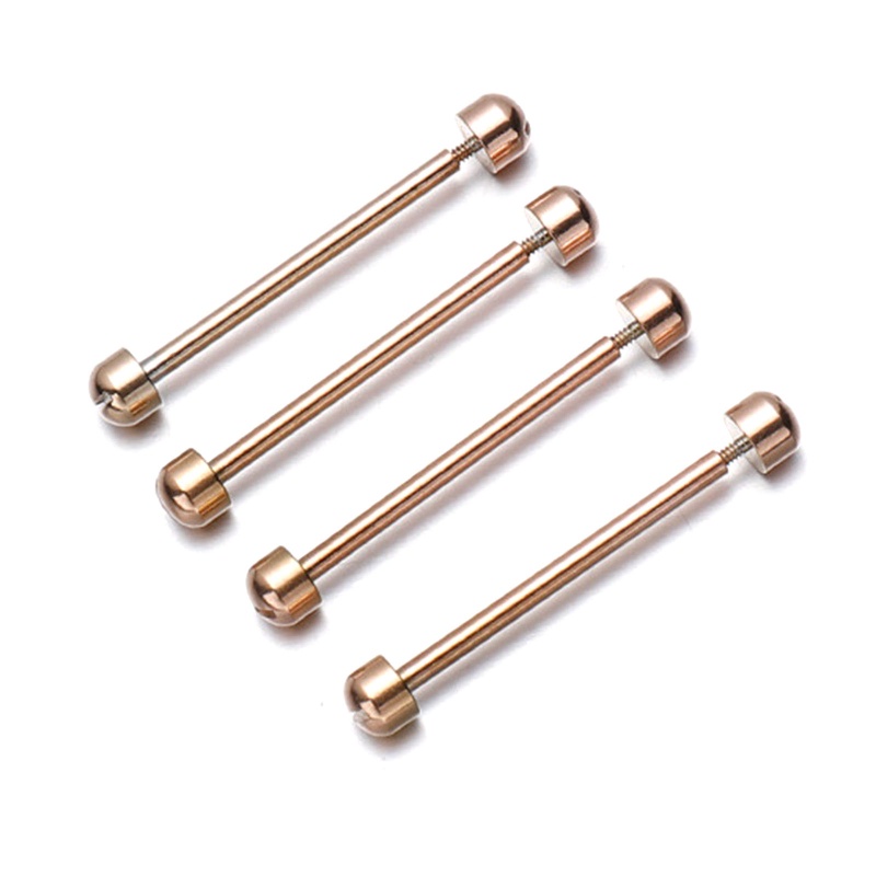 Set 2 Thanh Nối Chốt Đồng Hồ 16mm 18mm 20mm 22m