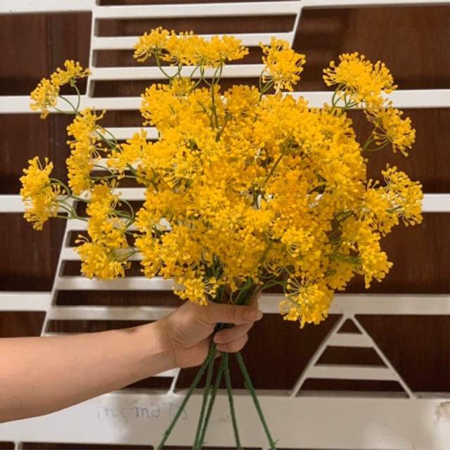 Hoa lụa | HOA SAO (Ảnh thật shop chụp)